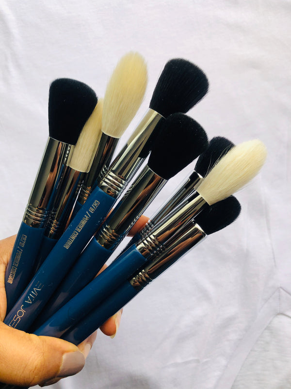 Review : TourLight Brush Collection